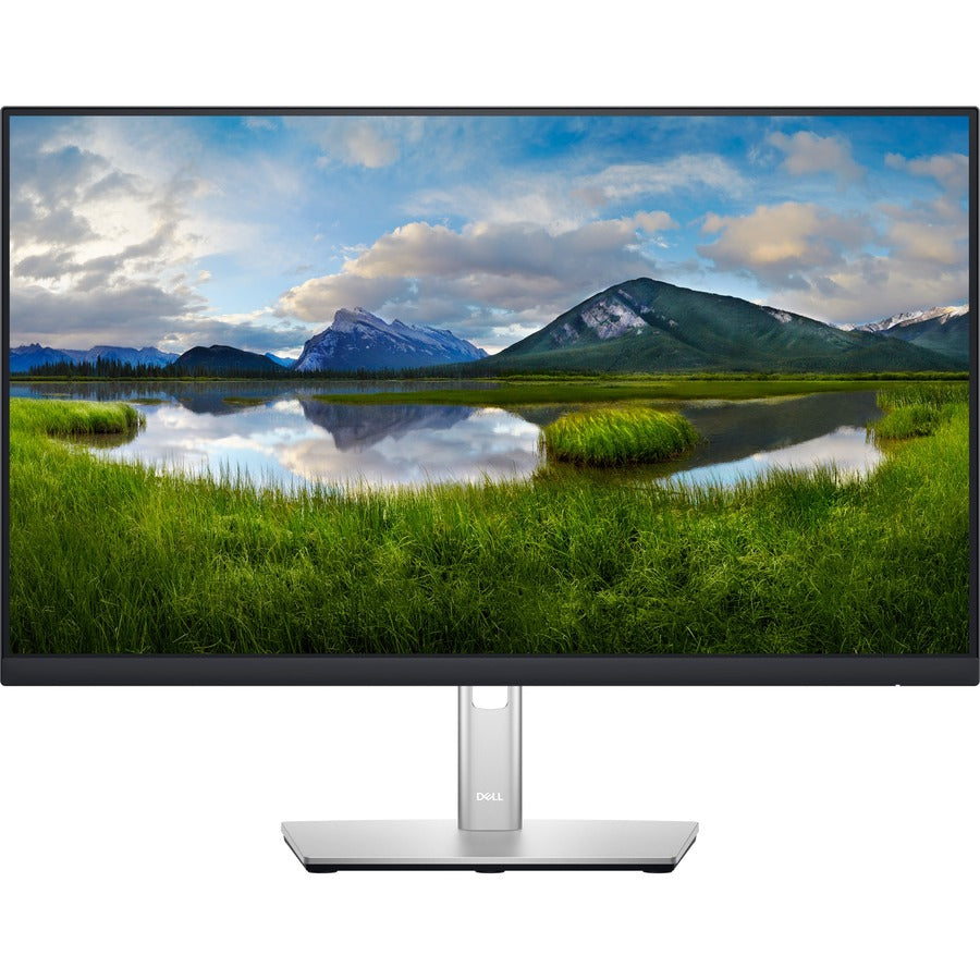 Dell P2422H 24