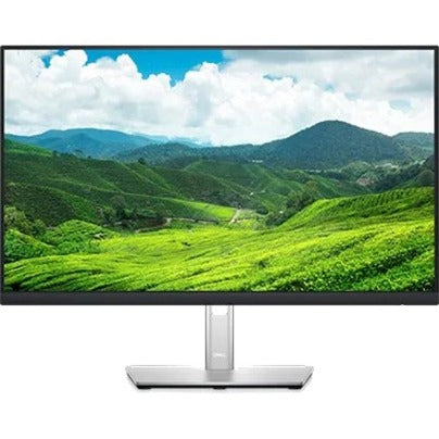 Dell P2422HE 24