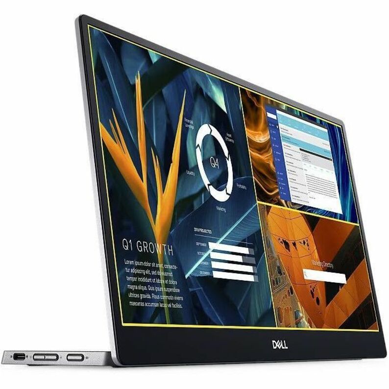 Dell P1424H 14