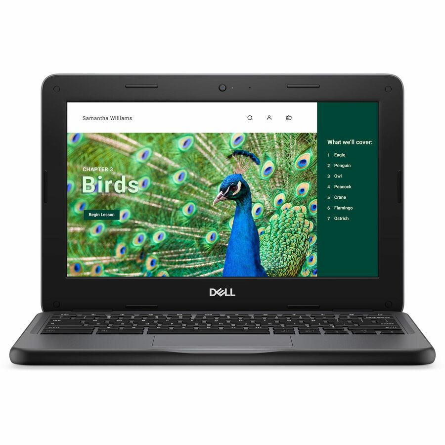 Dell Chromebook 3000 3120 11.6