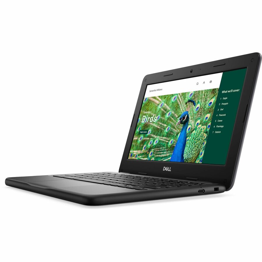 Dell Chromebook 3000 3120 11.6