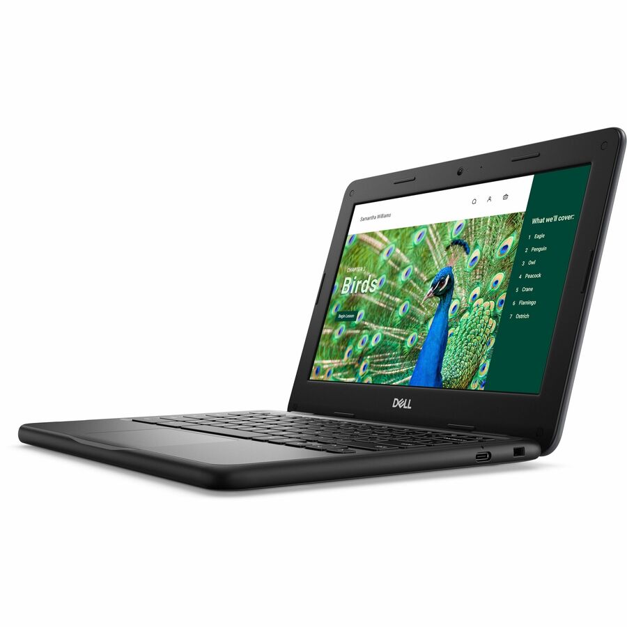 Dell Chromebook 3000 3120 11.6