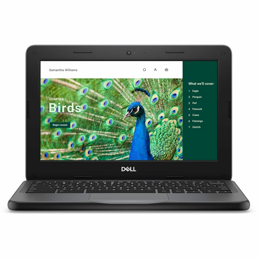 Dell Chromebook 3000 3120 11.6