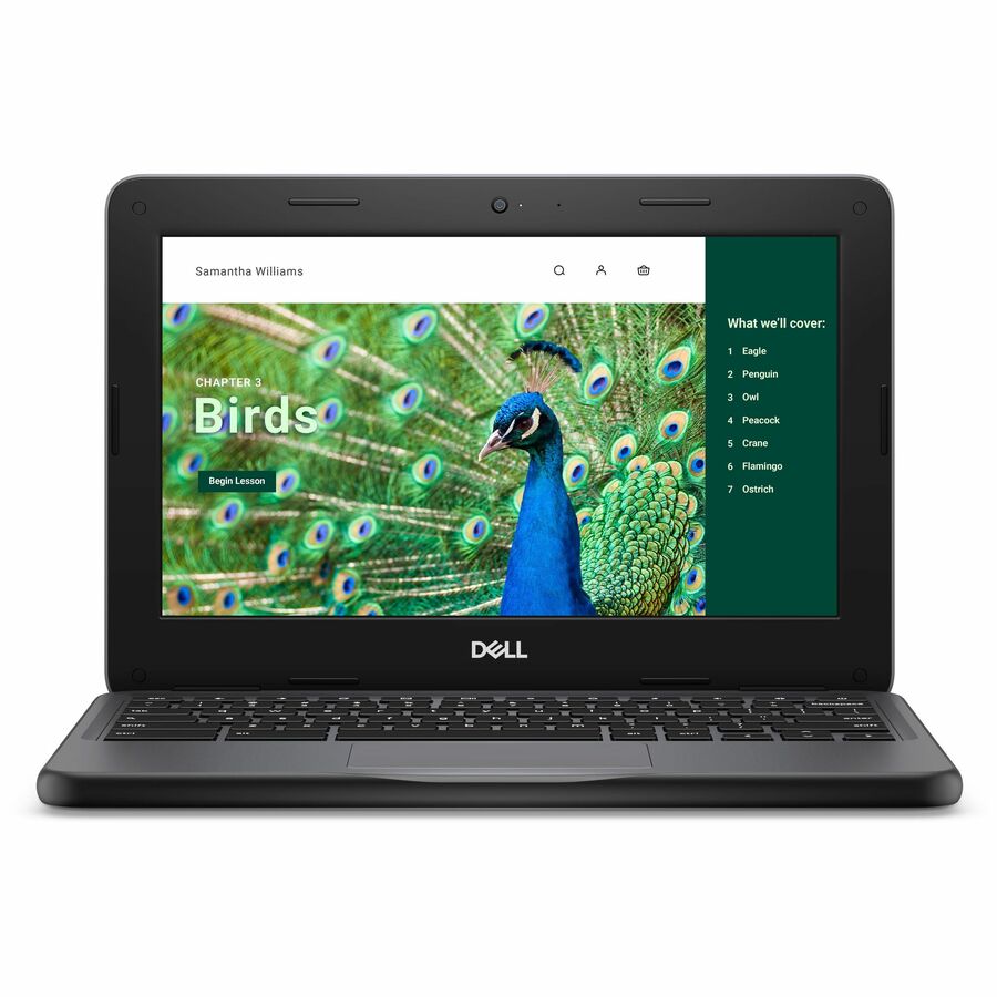 Dell Chromebook 3000 3120 11.6