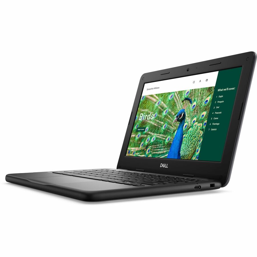 Dell Chromebook 3000 3120 11.6