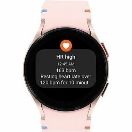 Samsung Galaxy Watch FE Smart Watch