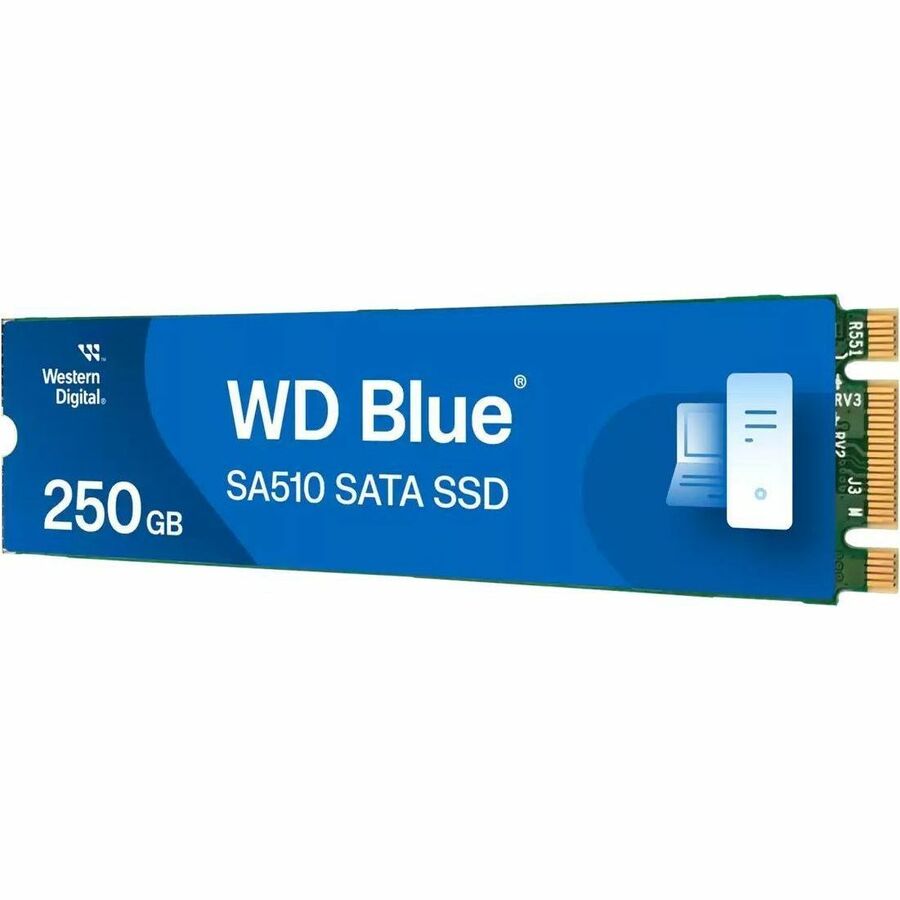 WD Blue SA510 WDS250G3B0B-00AXS0 250 GB Solid State Drive - M.2 2280 Internal - SATA (SATA/600)