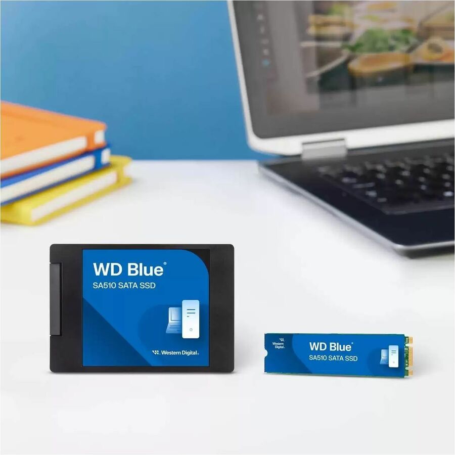 WD Blue SA510 WDS250G3B0B-00AXS0 250 GB Solid State Drive - M.2 2280 Internal - SATA (SATA/600)